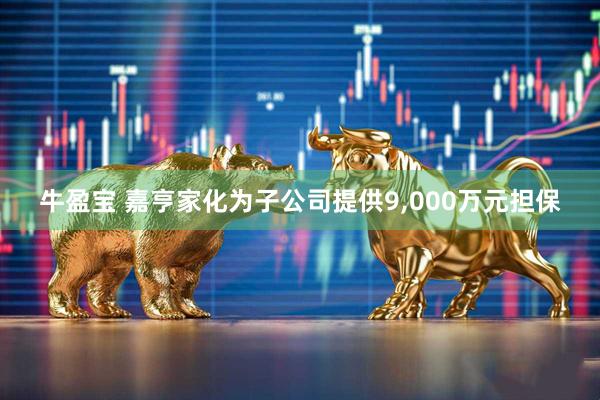 牛盈宝 嘉亨家化为子公司提供9,000万元担保